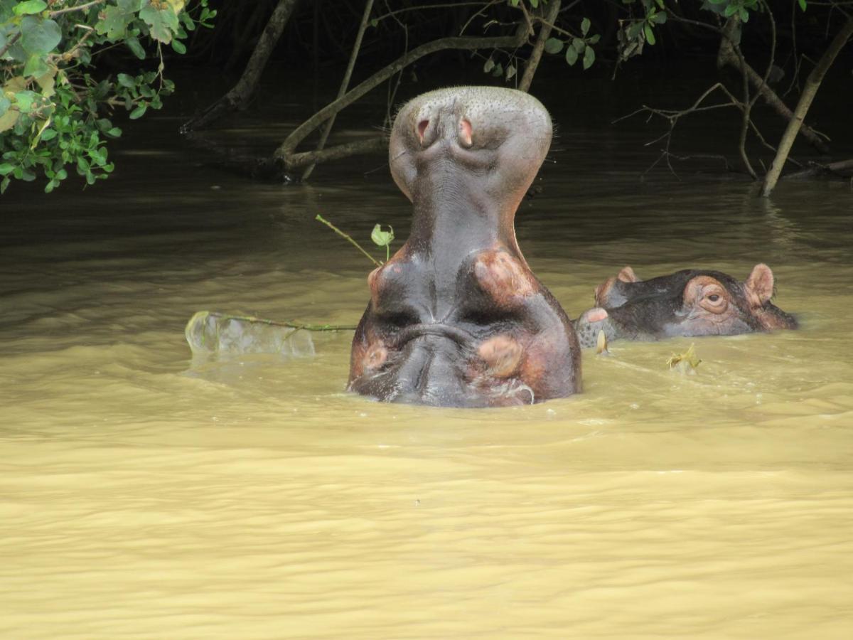 Uitspan Lägenhet Saint Lucia Estuary Exteriör bild